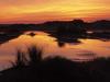 Wetland and Sand Dunes at Sunset Wadden Islands Holland The